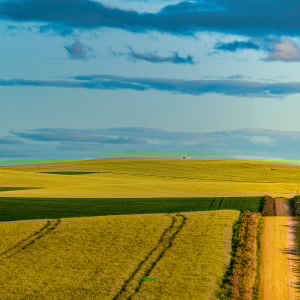 blue space issue3 image 1