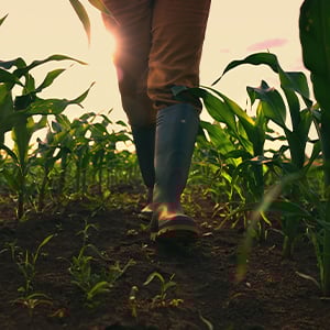 Blue magazine issue3 image 5 14 sizes