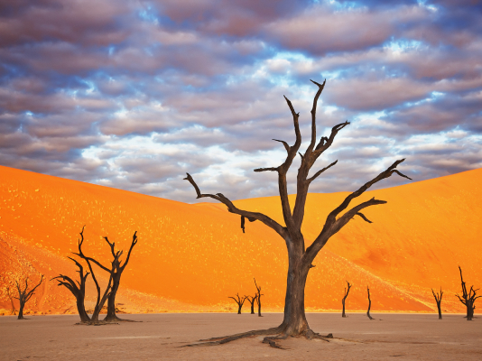 Namibia image for country page