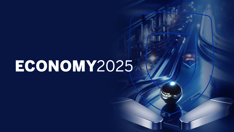 Economy2025 Pinball image set option2