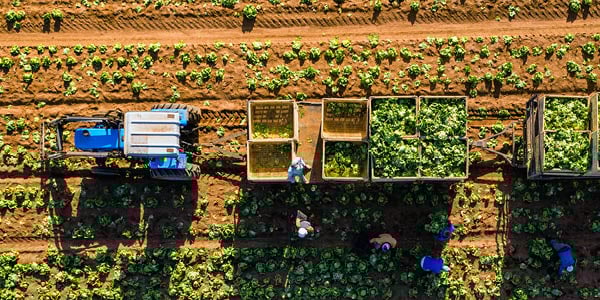 Unlocking intra-African trade potential