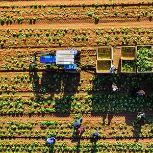 Unlocking intra-African trade potential