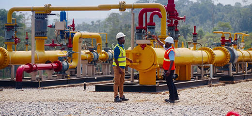 Ghana Plant 14 images 