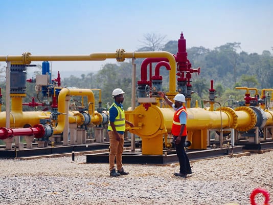 Ghana Plant 14 images 