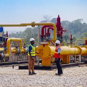 Ghana Plant 14 images 