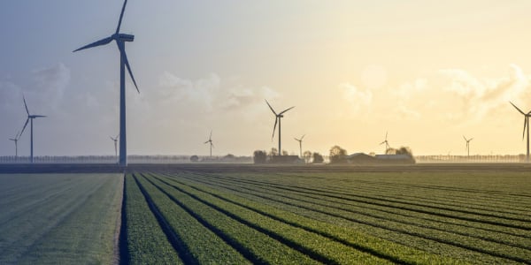 Group Sustainability