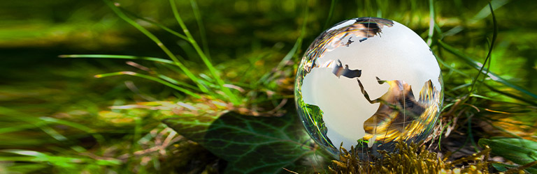 Committed to a positive environmental impact