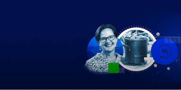 CIB Combatting Climate Change Through Carbon Credits Page