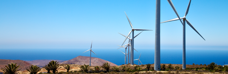 Proactive partnership delivering real solutions