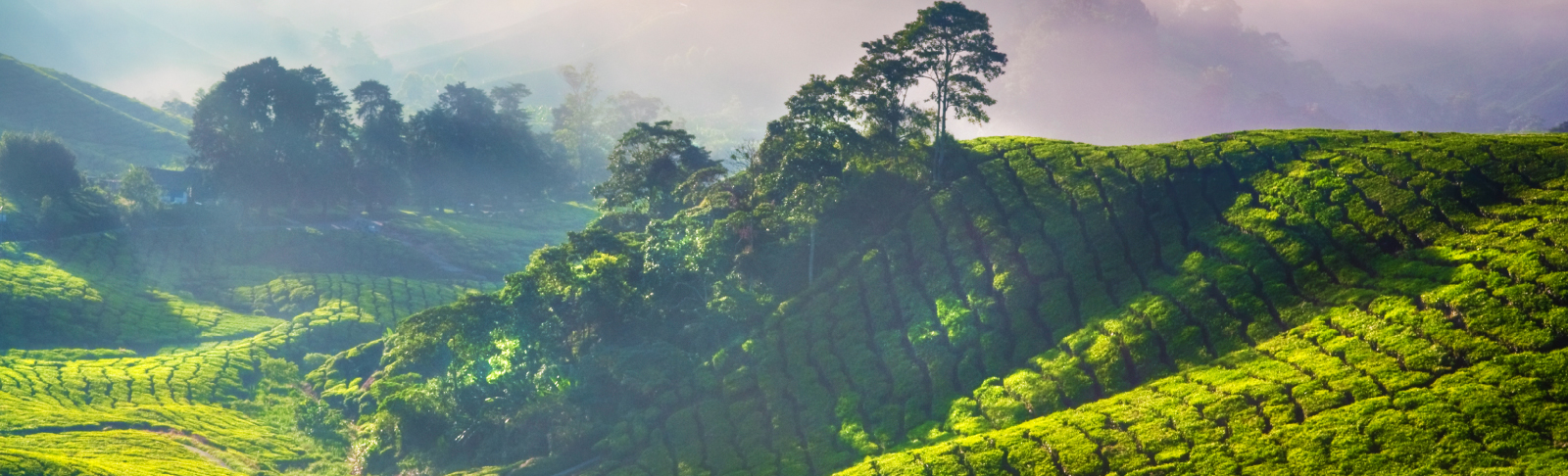 Creating sustainable societies in Africa image