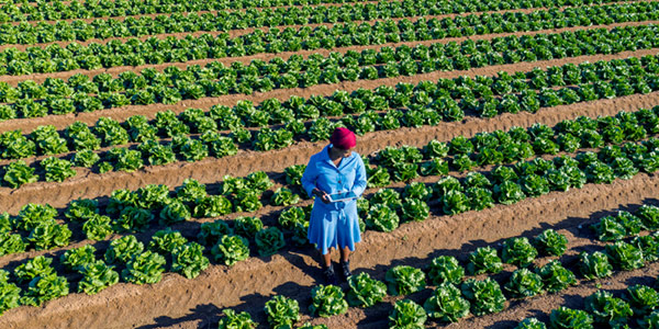 Agric header image set