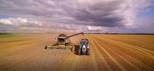 Consumer agriculture video image 