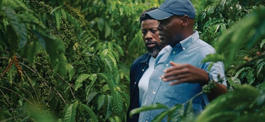 Stories if Impact 14 sizes