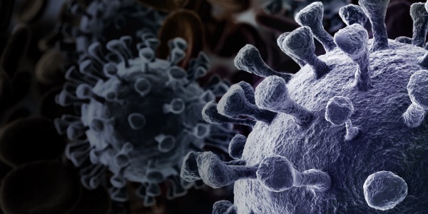 Coronavirus image set